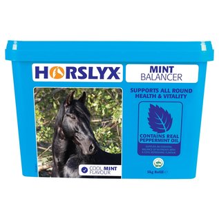 Horslyx Horslyx Mint Balancer - 5 kg