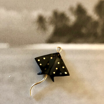 Black coral Stingray