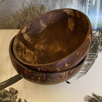 Coconut all purpose bowls