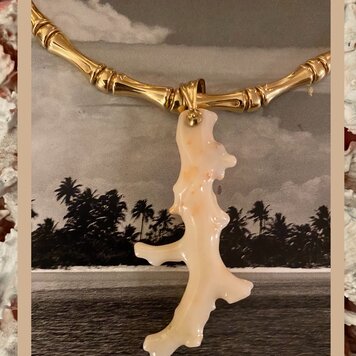 White polished coral branch