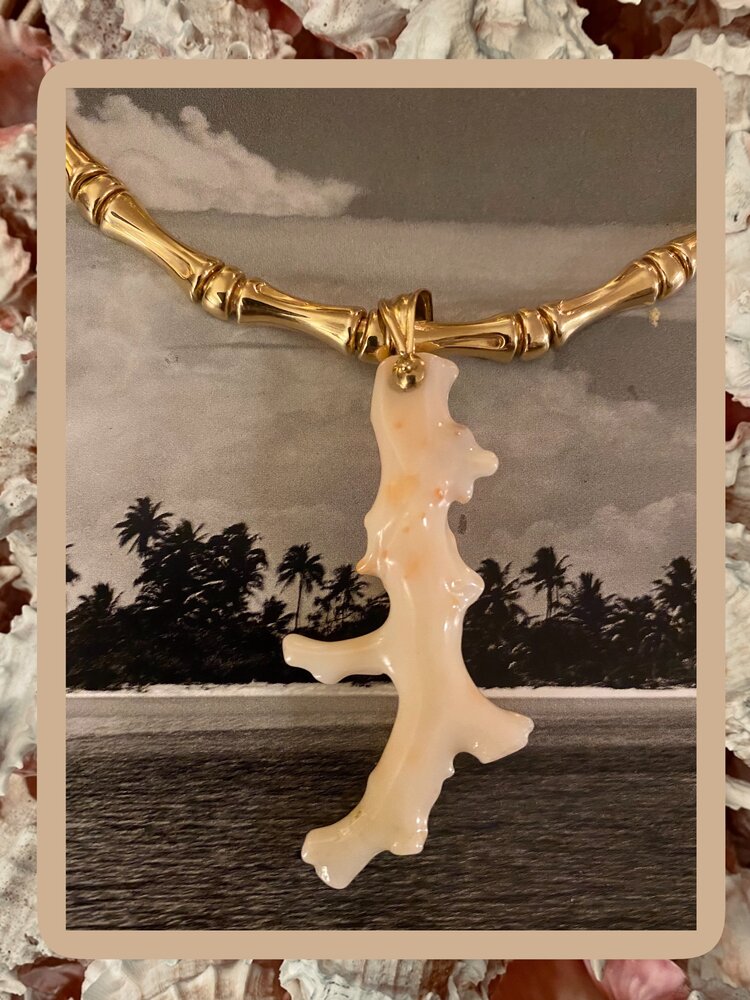 White polished coral branch