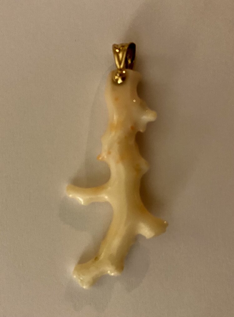 White polished coral branch