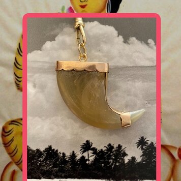 Tiger claw protection amulet