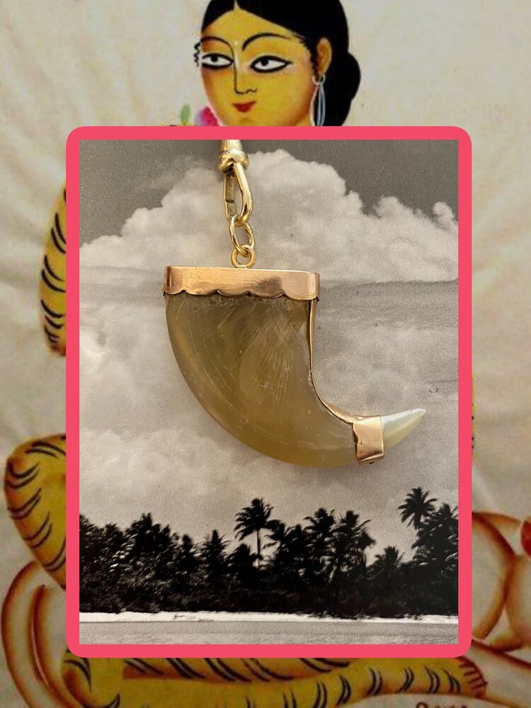 Tiger claw protection amulet