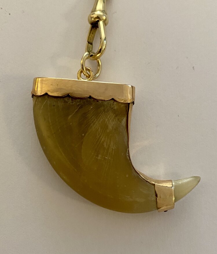 Tiger claw protection amulet