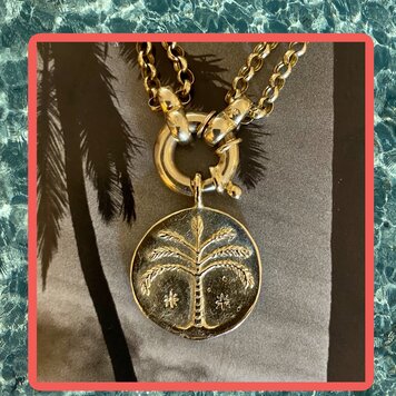 Paradise palm protection coin