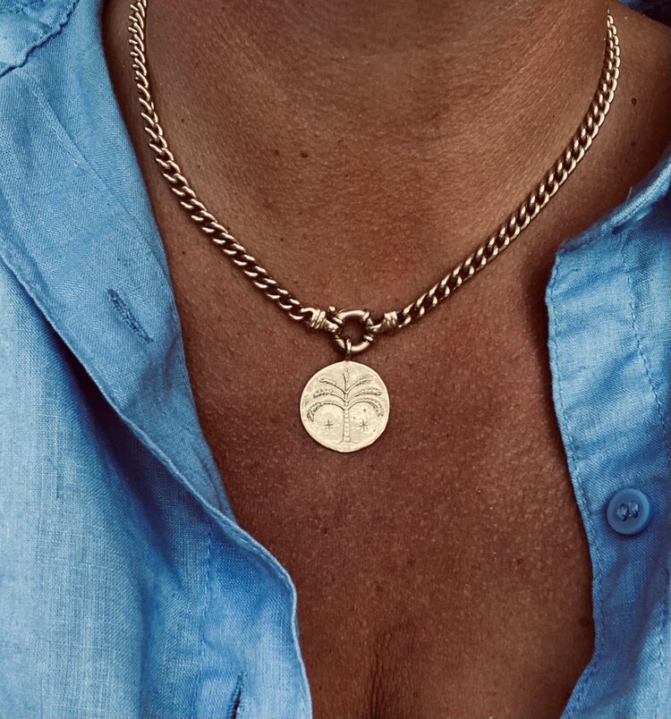 Paradise palm protection coin