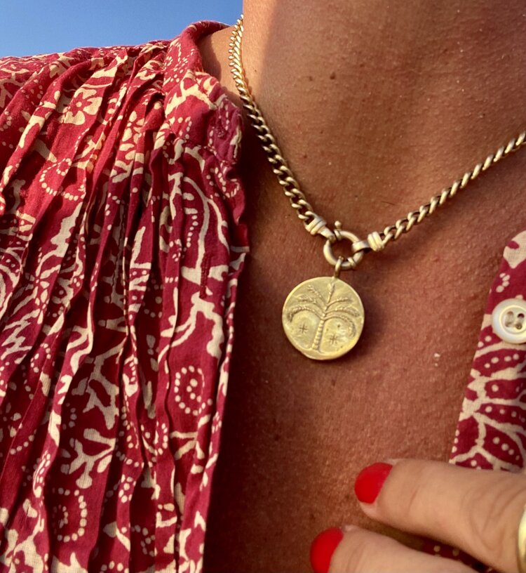 Paradise palm protection coin