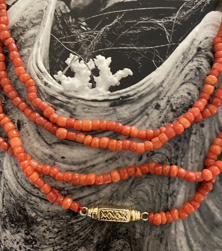Very long coral necklace with bar lock 14 cr