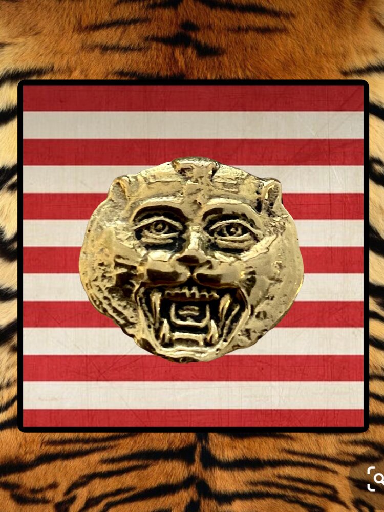 Sacred tiger ring massive 14 crt gold