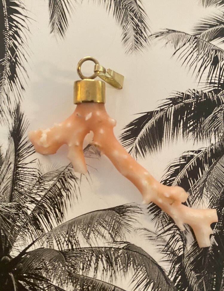 Angel skin rough branch