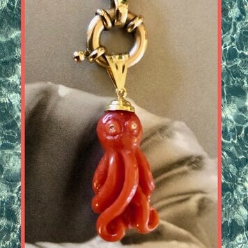 Diamond coral Octopus