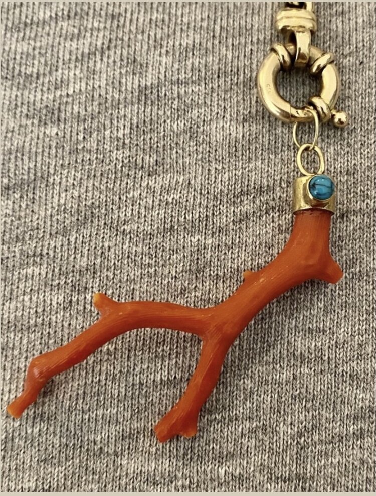 Unpolished coral branch with coral