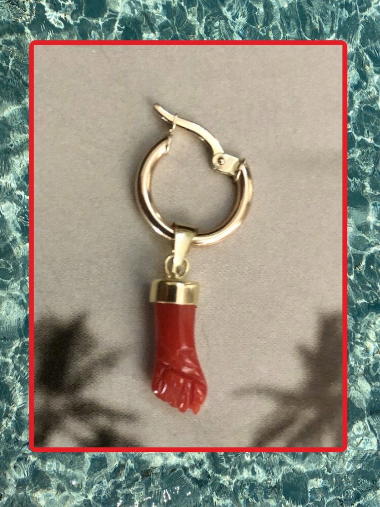 Good luck Coral Figa