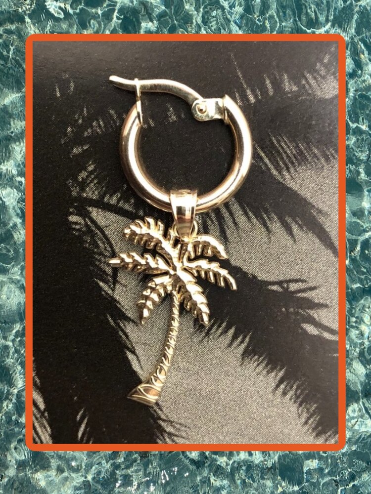 Paradise coconut hoop