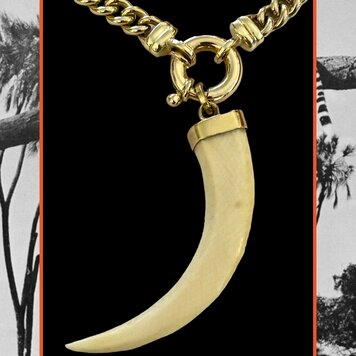 Large tooth from africa in a 14 crt gold setting