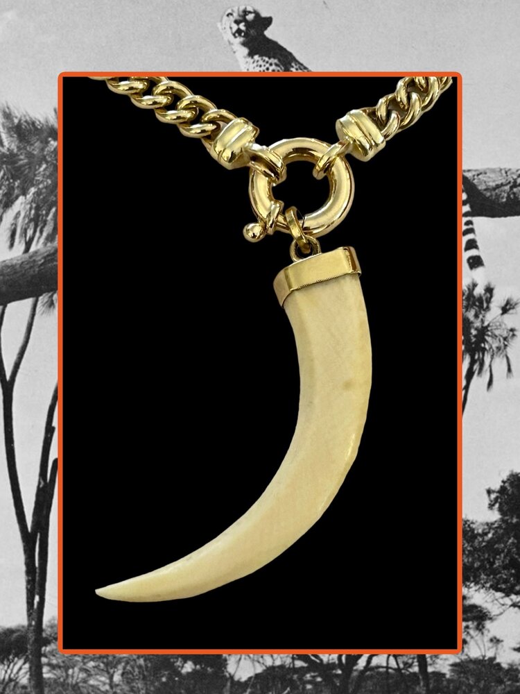 LarLarge tooth from africa in a 14 crt gold setting