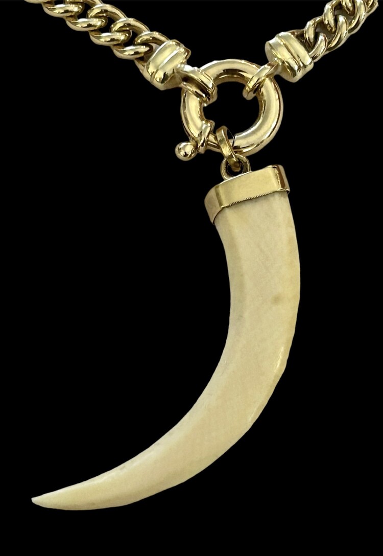 LarLarge tooth from africa in a 14 crt gold setting