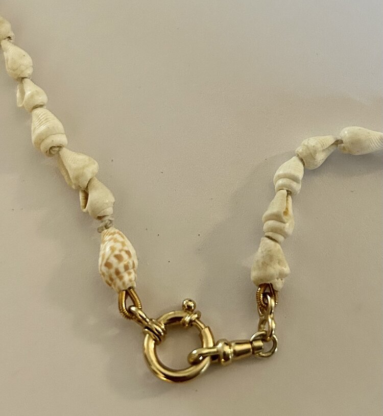 White baby shell necklace lock 14 crt