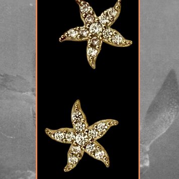 Sparkly seastar stud 14 crt zirconia