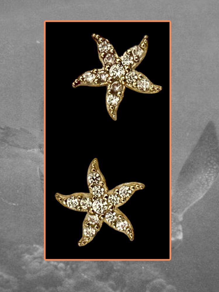 Sparkly seastar stud 14 crt zirconia
