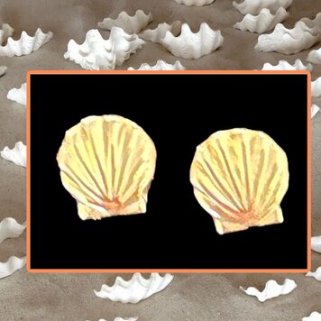 Small 14 crt  seashell studs