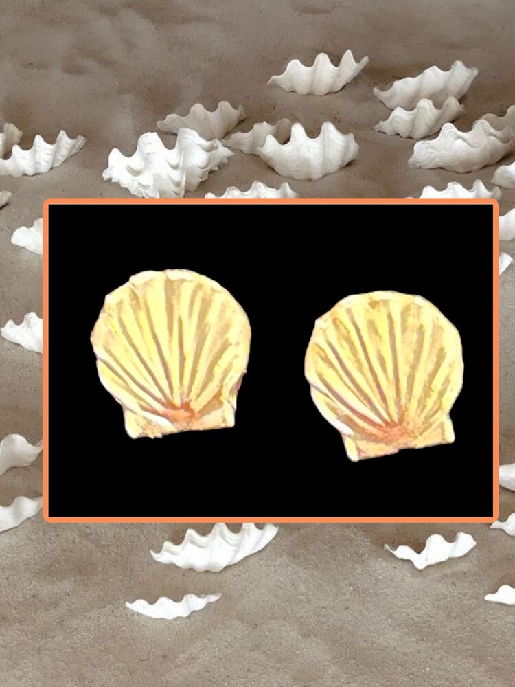 Small 14 crt  seashell studs