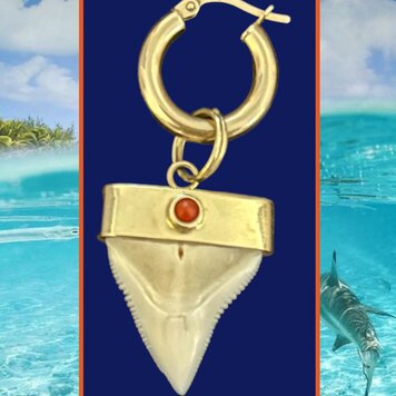 Old shark tooth in a 14 crt gold setting with Coral inlay