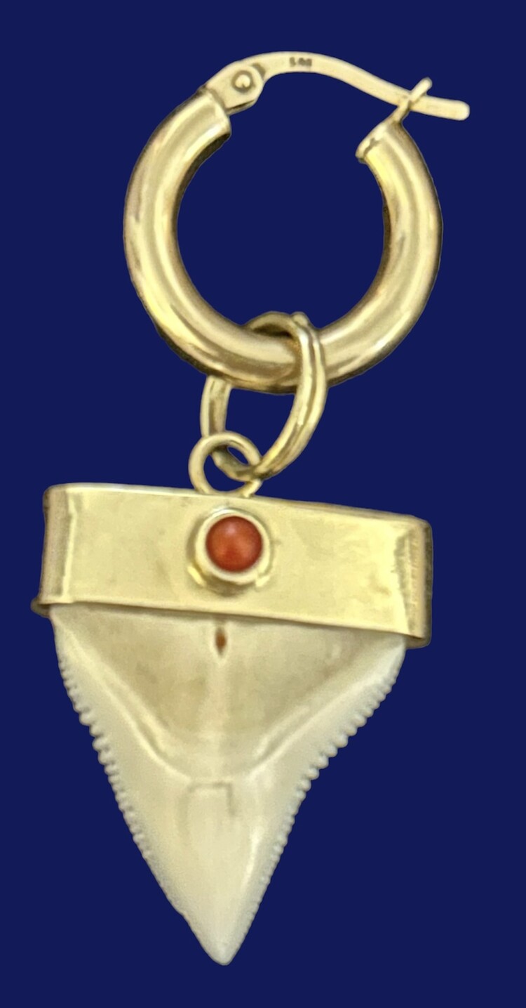 Old shark tooth in a 14 crt gold setting with Coral inlay