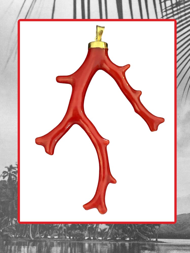 Very large polished Coral branch in a 18 crt gold setting