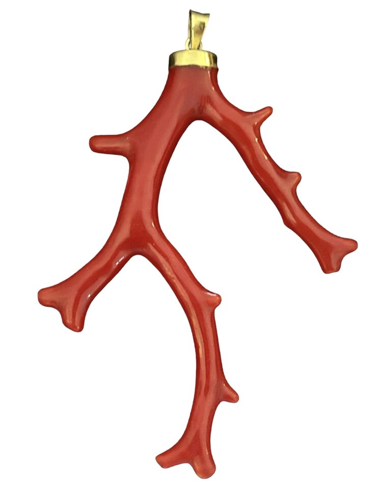 Very large polished Coral branch in a 18 crt gold setting