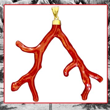 Very large polished Coral branch in a 18 crt gold setting