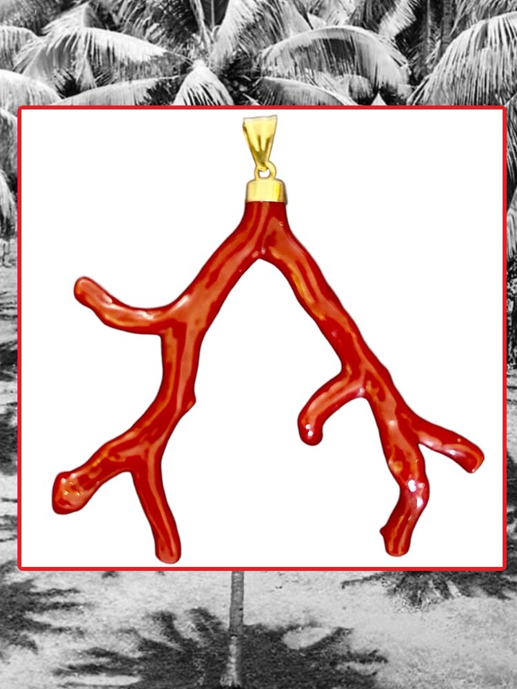 Very large polished Coral branch in a 18 crt gold setting