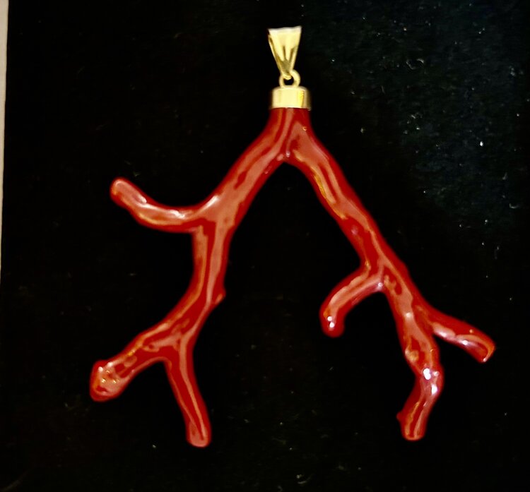 Very large polished Coral branch in a 18 crt gold setting
