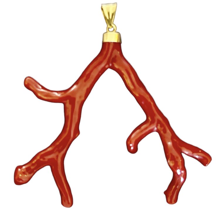 Very large polished Coral branch in a 18 crt gold setting