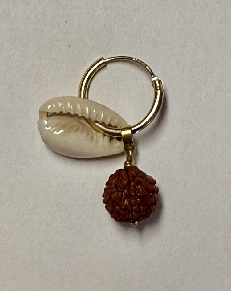 Cowrie and Rudrak lucky charm earring 14 crt