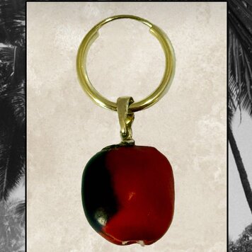 Huayruro nut from the amazone 14 crt