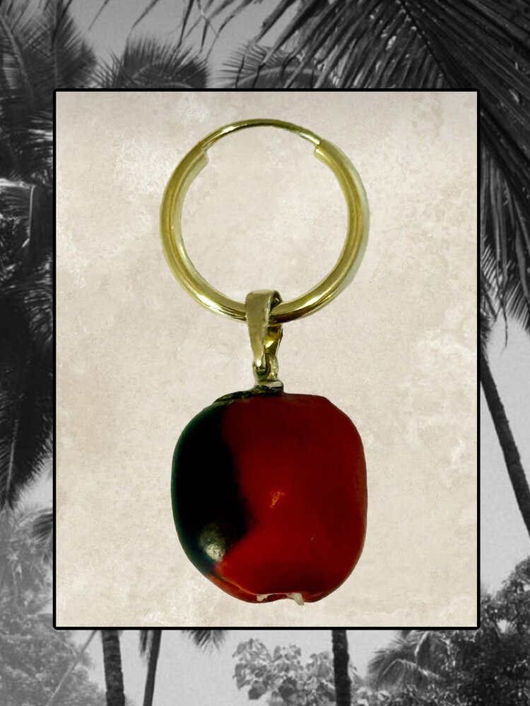 Huayruro nut from the amazone 14 crt charm