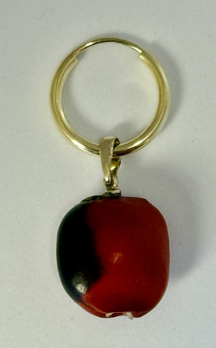 Huayruro nut from the amazone 14 crt charm