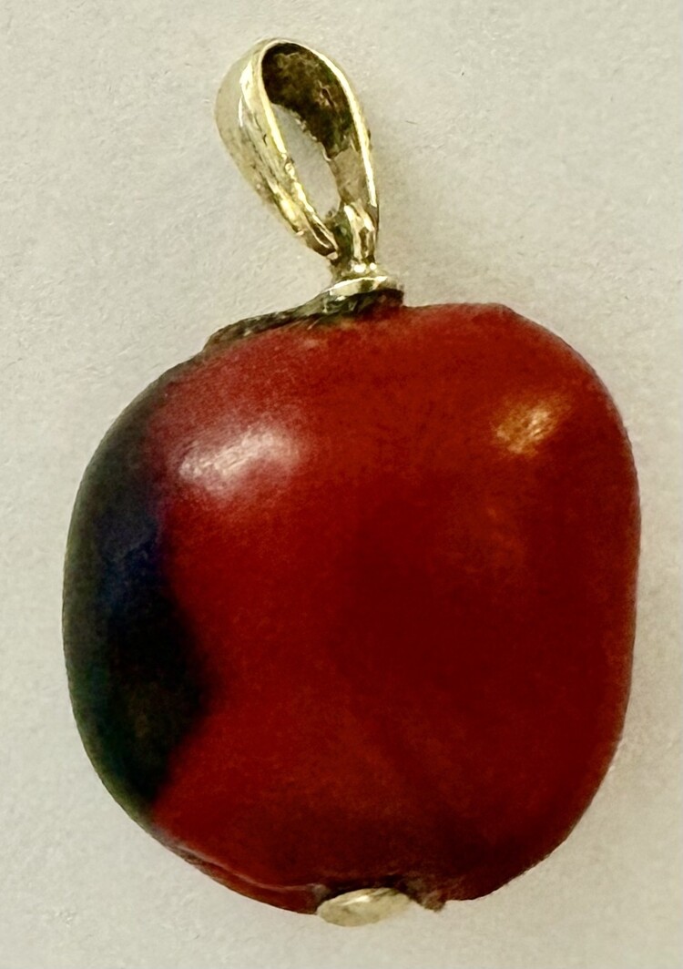 Huayruro nut from the amazone 14 crt charm