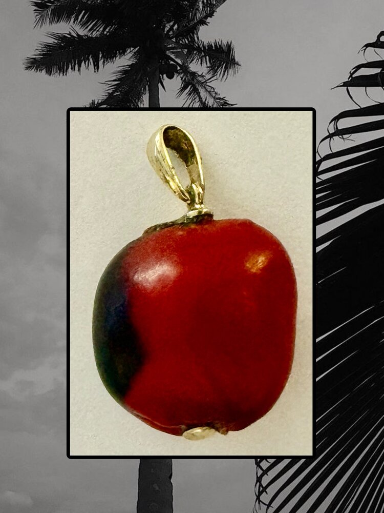 Huayruro nut from the amazone 14 crt charm