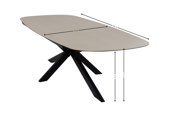 9-teiliges Garten-Set | 8 Mona Gartenstühle | Gartentisch Malaga 280 x 115 cm | Schwarz