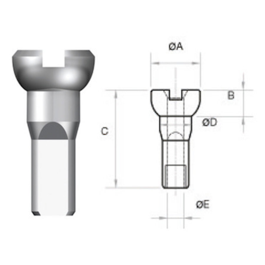 Sapim Nipple 14G - Polyax - Brass - Silver-2