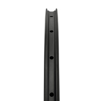 thumb-Road Disc Brake H45-W30 Carbon Velg | Carbon Spoke-6