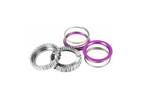 Ratchet 36T suitable for DT Swiss 350 / 240  Ratchet hubs 