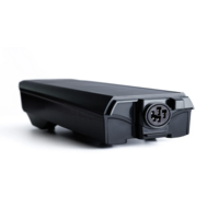 thumb-Bosch PowerPack 300 Performance rear-rack battery (BBR245) – 36V / 8.2Ah / 295Wh – 0275007550-2