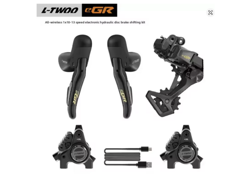 L-TWOO eRX Elektronische Racefiets Groepset – 2×10/11/12 Speed 