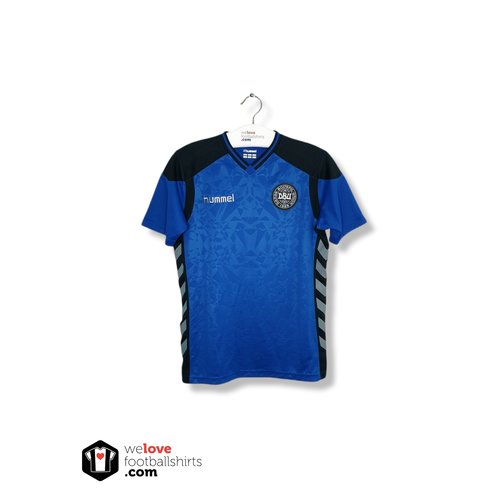 Hummel Origineel Hummel trainingsshirt Denemarken 2016/17