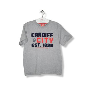 Fanwear Cardiff City (M)