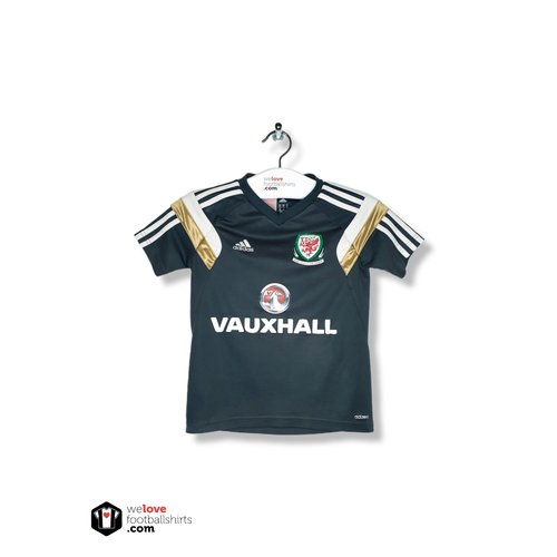 Adidas Origineel Adidas voetbalshirt  Wales 2014/15